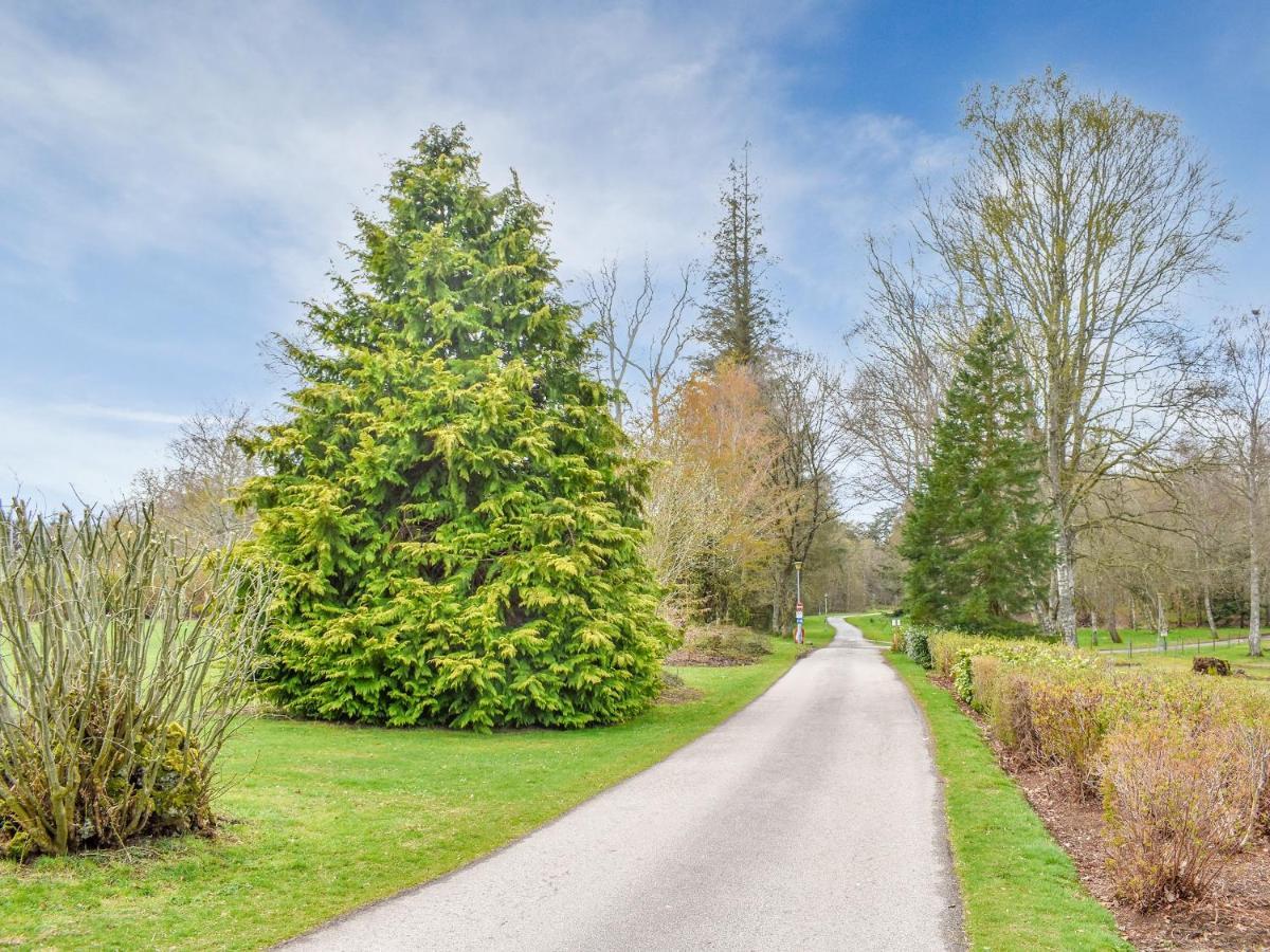 Bridge of Alford Ukc6715 - Haughton Holiday Home المظهر الخارجي الصورة